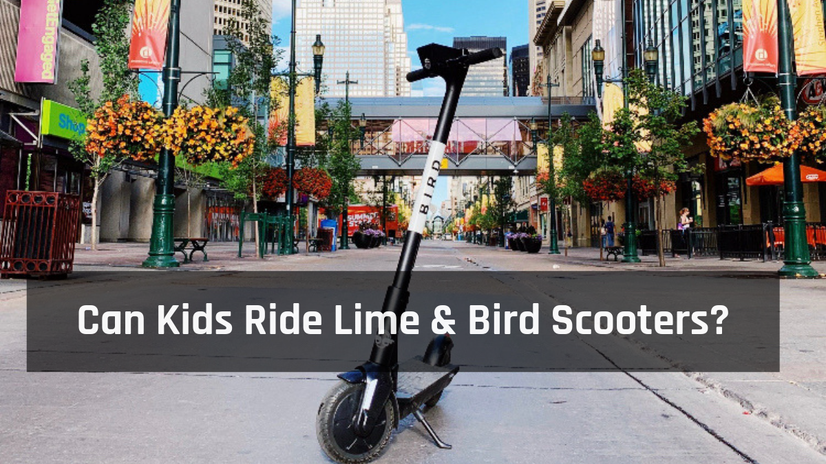 Can Kids Ride Lime and Bird Scooters?