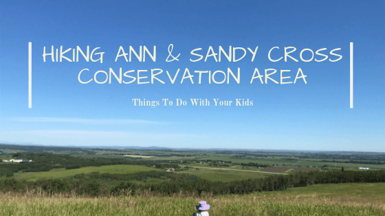 Things to do with your kids: Hiking Ann & Sandy Cross Conservation Area
