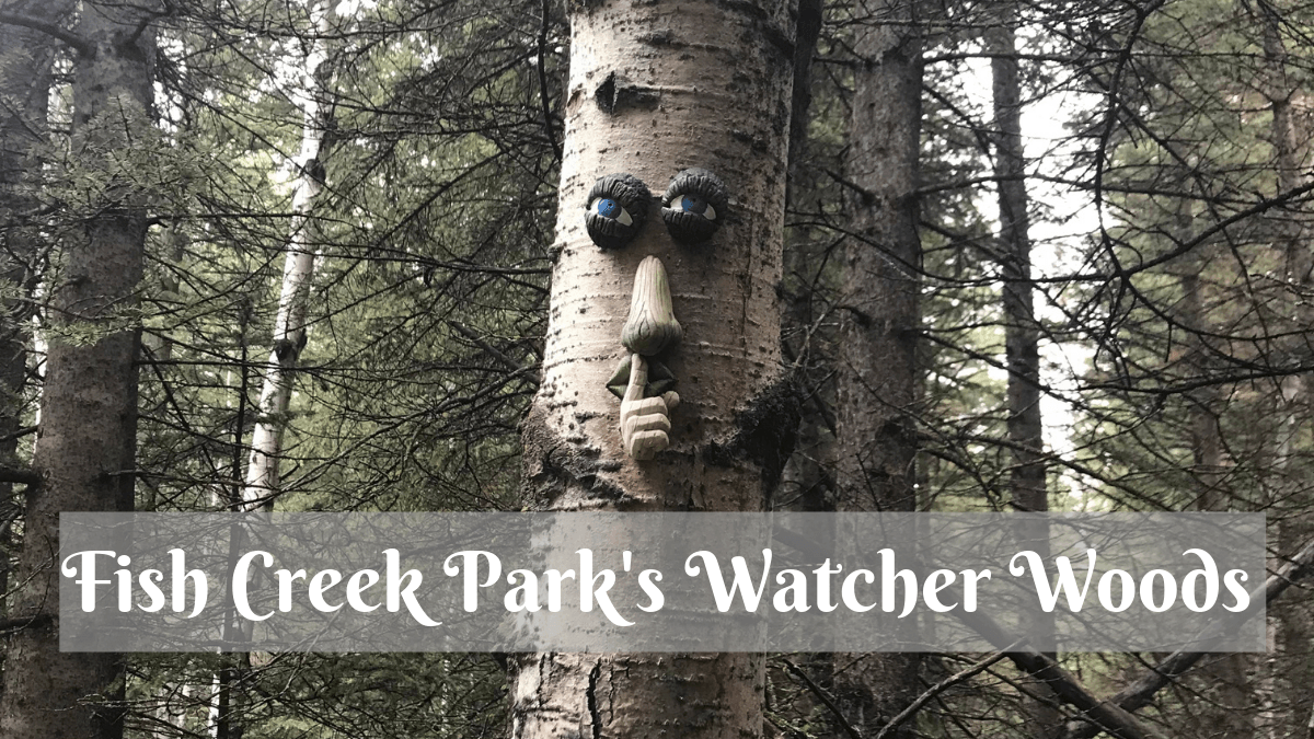 Things To Do With Your Kids – The Watcher Woods