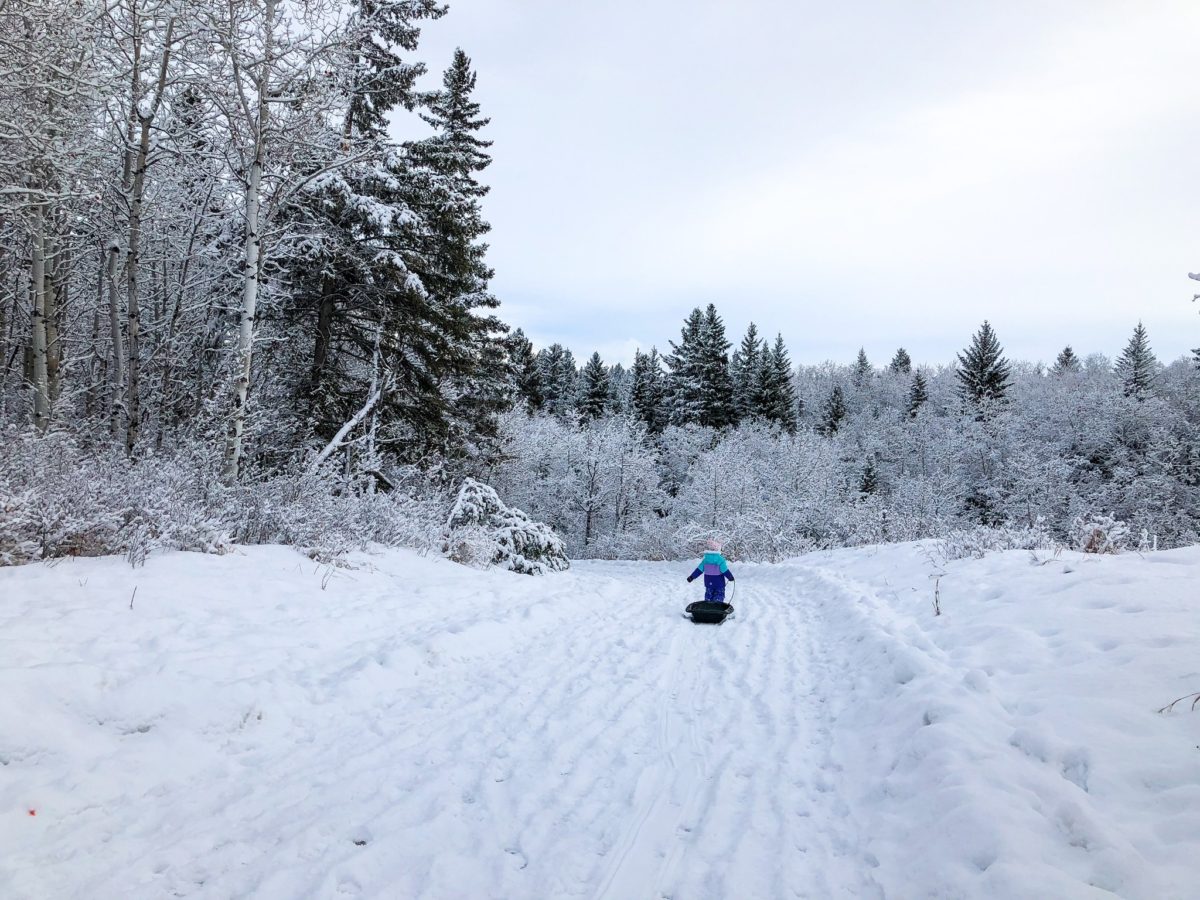 8 Sleds You Can Buy Online For Winter In Canada