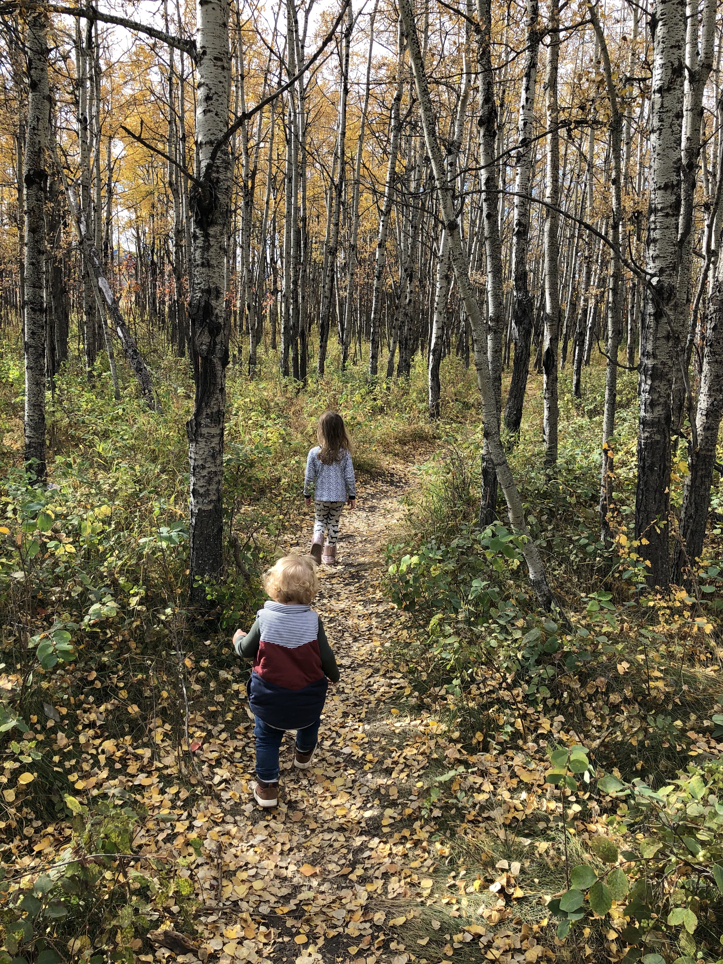 Forest Schools In and Around Calgary